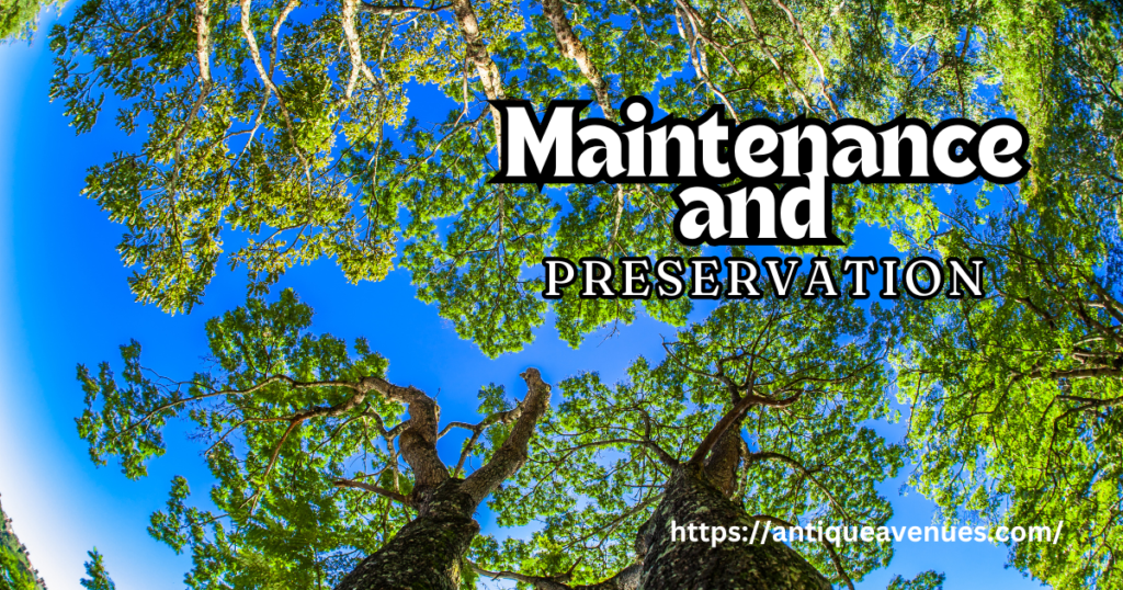 Maintenance and Preservation
