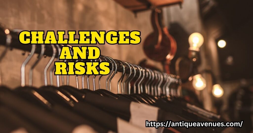 Challenges and Risks
