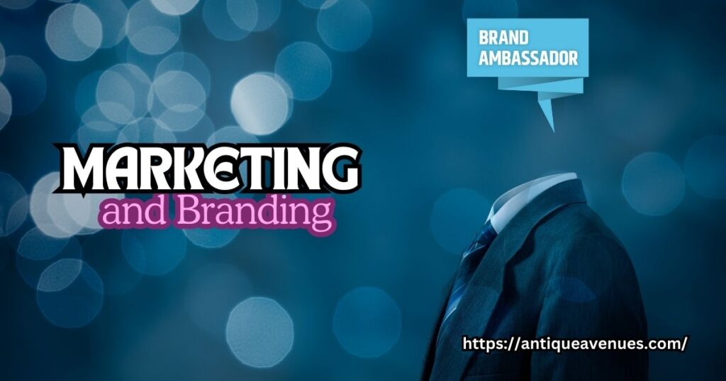 Marketing and Branding
